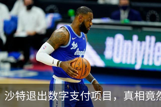 沙特退出数字支付项目，真相竟然是这样？